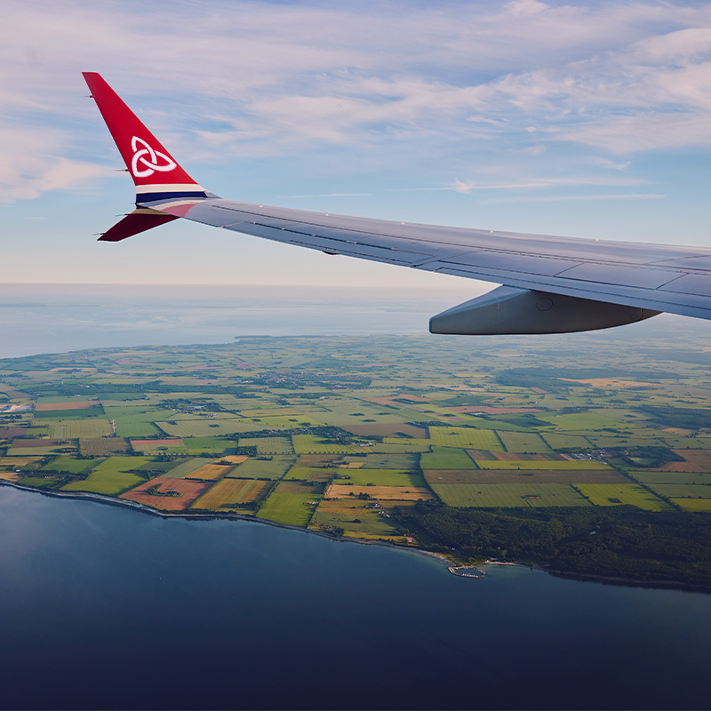 volando-a-irlanda-curso-de-verano